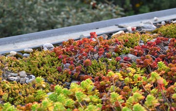 the cost of Hightown Heights green roof installation